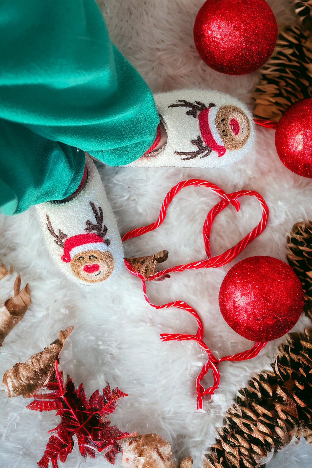 Christmas Slippers, Reindeer Slippers, Santa Slipper, Grinch Slippers
